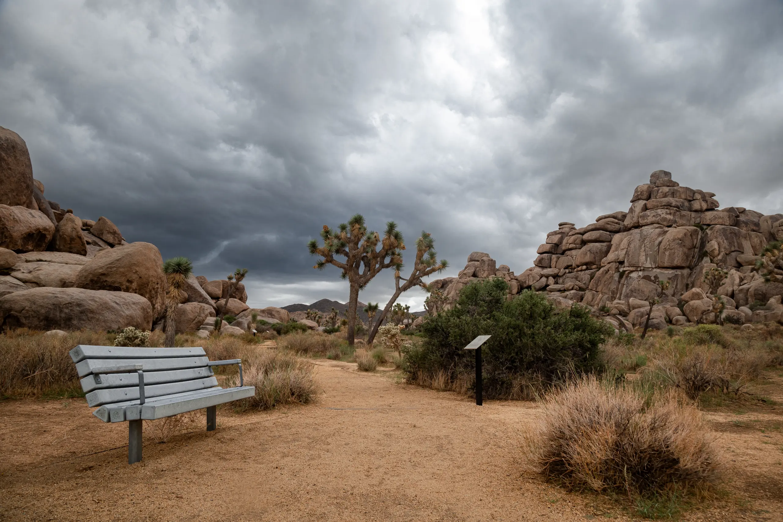 Bench beside a well-defined trail under dark clouds in Joshua Tree National Park