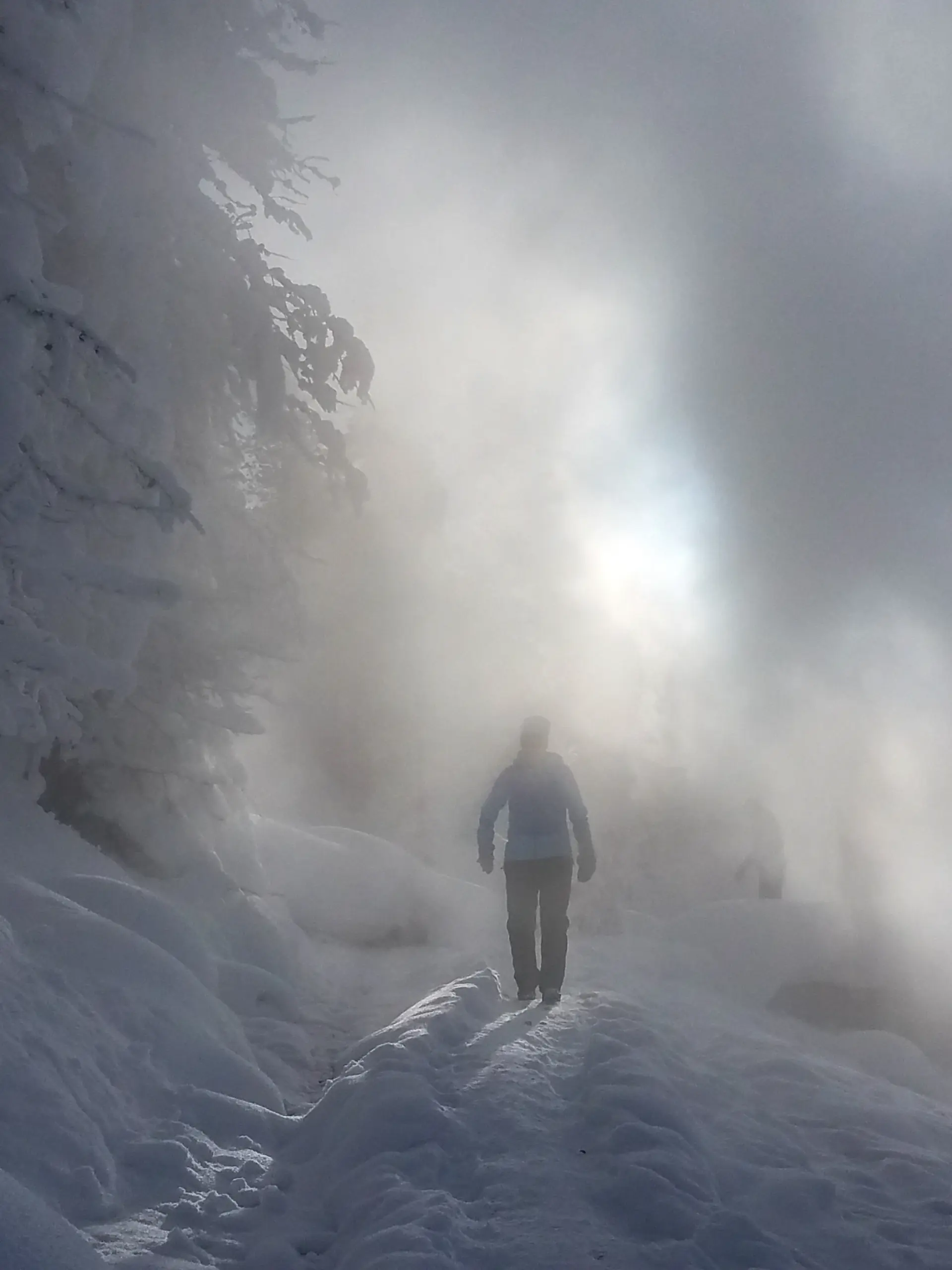 Person walking on a snow-covered boardwalk in Yellowstone National Park